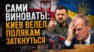 Чёрный глаз Варшавы: как украинские «холопы» порют панов в прямом эфире