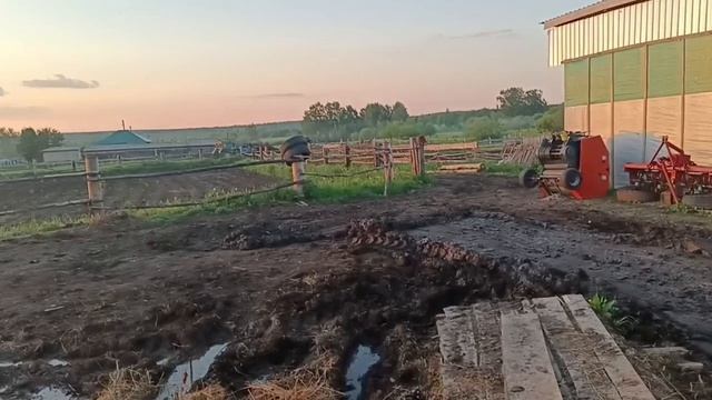 Мы уж думали что. все,а он детство вспомнил и пошел туда, где вырос.Жизнь в деревне .