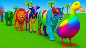 Длинная игра-слайд со Слоном, Гориллой, Буйволом, Бегемотом, Тигром 3d Игра с животными  3d животные