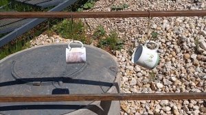 В гостях у волонтеров в селе Шоршелы