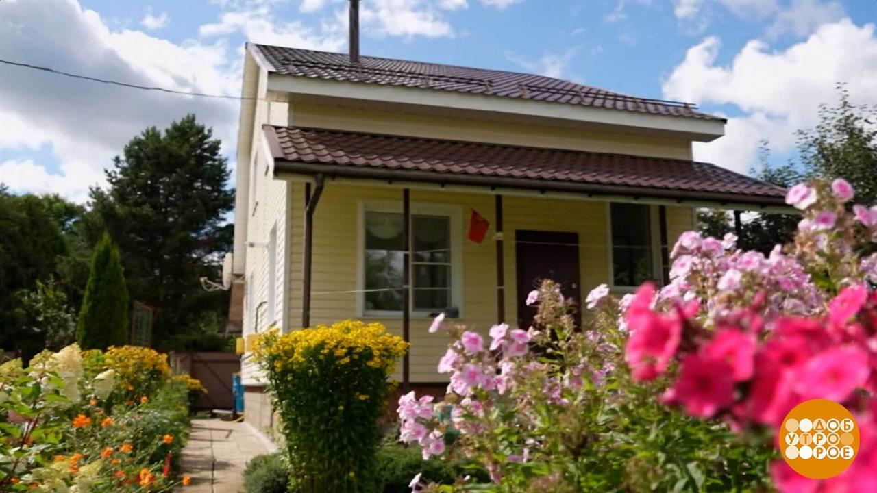 Дача? Не проблема! Но задача... Доброе утро. Фрагмент выпуска от 10.06.2026 смотреть онлайн