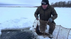 Трофей из-подо льда! Зимняя рыбалка на фитили и мормышку