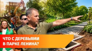 Новый фонтан и старые деревья. Как в Уфе идет реконструкция парка Ленина?