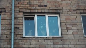 «УСТРОИЛА СОБАЧИЙ КОШМАР»