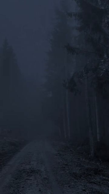 Россия 🇷🇺 природа
