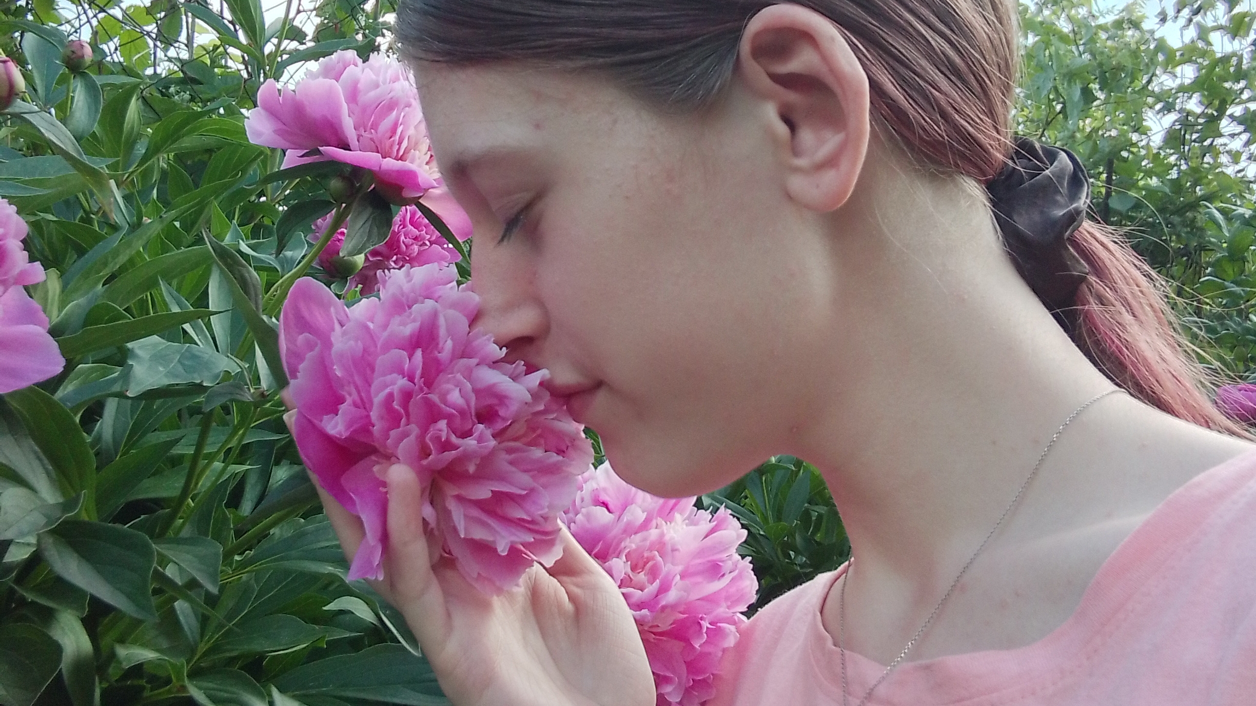 Вечер ,у нас распустились пионы 🌸 смотреть онлайн