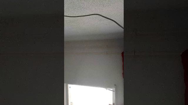 БОМБА 6 часть смотреть онлайн