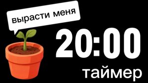 Таймер на 20 минут с растущим цветком