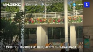 В Москве к выходным ожидается сильная жара