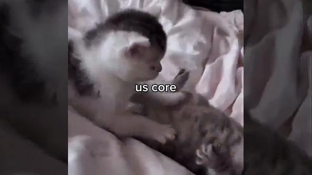 13404235849561 смотреть онлайн