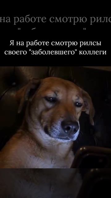 🤣😂😂ага, заболел...