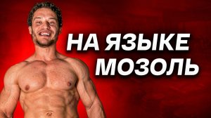 Шакалёнок Павлик