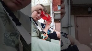 Викторина филосова