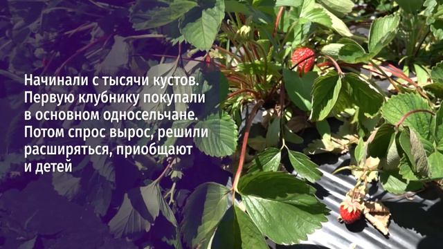 Супруги из Корочанского округа благодаря программе соцподдержки «Содействие» расширили хобби