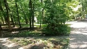 ОСИНОВЫЙ ОСТРОВ НА ТЕРРИТОРИИ САНАТОРИЯ