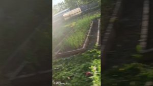 Еле шевелятся