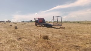 Живу в деревне на юге, зарабатываю как могу