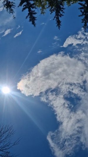 ЛЕТО КРАСНОЕ #shorts #nature #love #день #video