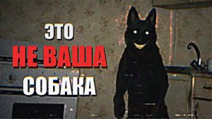 Как распознать симулякра