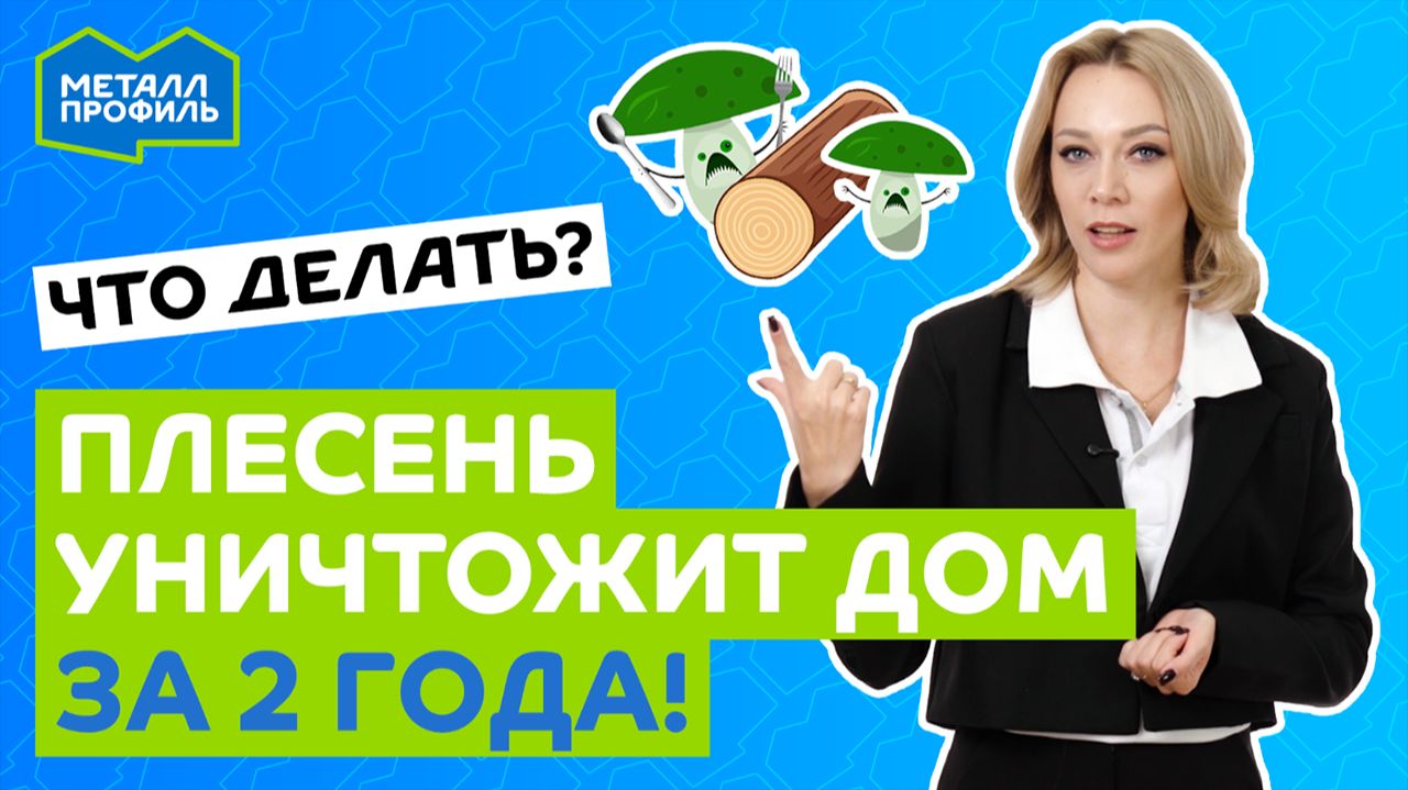Плесень в доме: чем опасна, как не допустить и как избавиться?