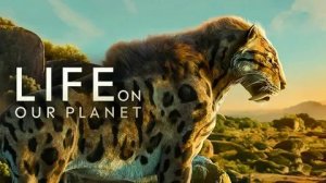 Жизнь на нашей планете (2023) - 5 серия / Life on Our Planet
