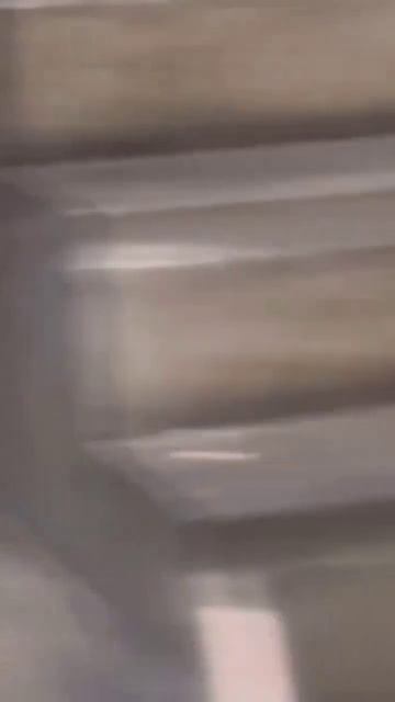 Снежный барс смотреть онлайн