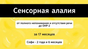 СЕНСОРНАЯ алалия. ОНР-2 за 17 месяцев коррекции. Запуск понимания и речи у девочки в 2,6 года.