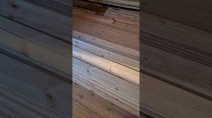 1000061385.mp4 (Собака смотрит на лайфхаки при укладке пола из фанеры на 2-ом этаже в доме А-фрейм)