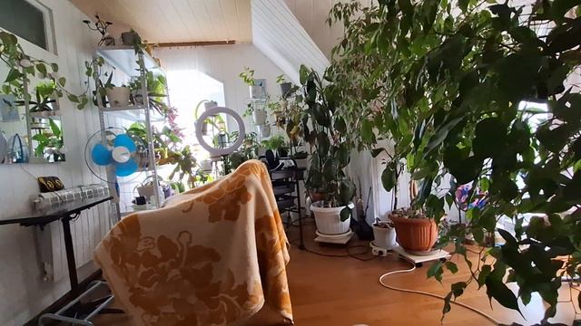 у нас был дождь и гром☔