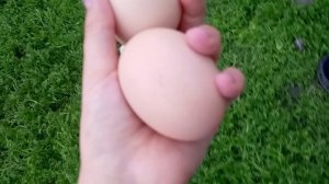 1000005968.mp4