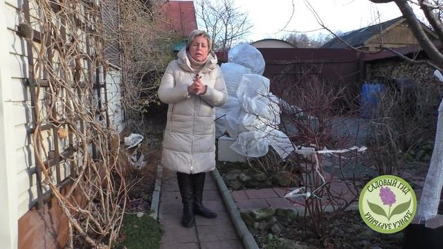 Не забудьте сделать это в декабре.