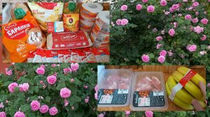 Отдыхаю, работаю, хозяйничаю))) Доставка, посылки. Кошка скучает))) Болтаю)))