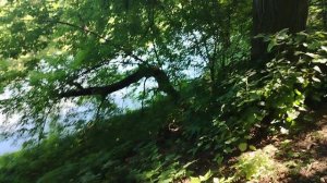 Гуляю на природе - (3)