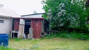Покосила участок у подруги☺️🙂🌿🌿🌿