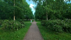 Парк Авиаторов. Июнь 2026.