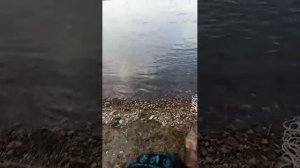 трансляция полноэкранная, пожалуйста, напишите в чат