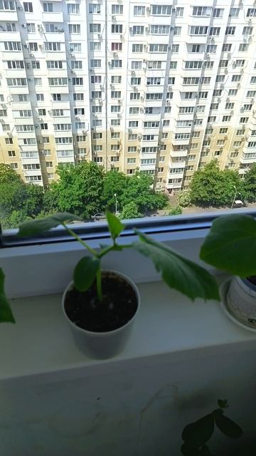 день 17 смотреть онлайн