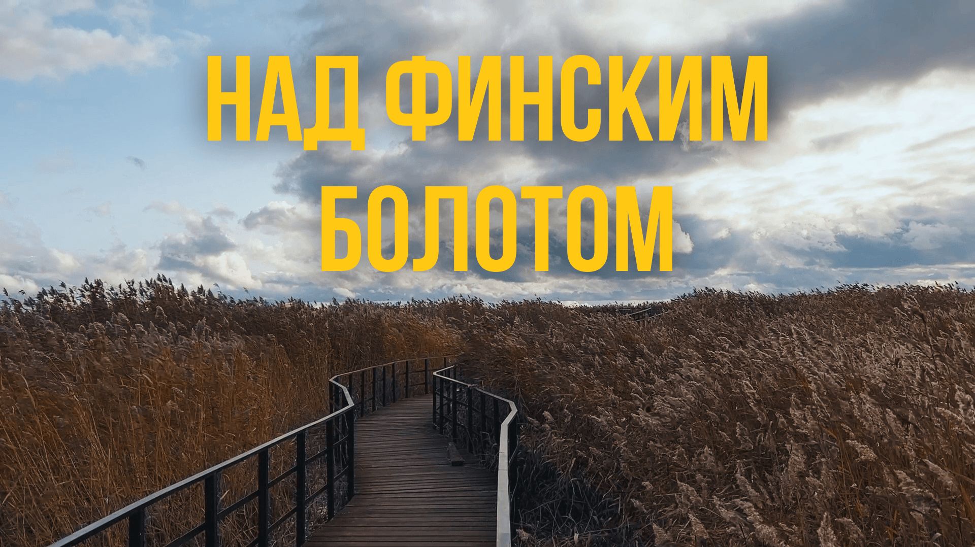 Ленобласть. Куда поехать