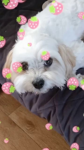 со мной все ок😌 смотреть онлайн