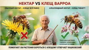 Нектар растений убивает клеща? Мифы и правда | Профессор Кашковский 🌸🕷️