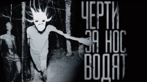 ЧЕРТИ ЗА НОС ВОДЯТ... Страшные истории на ночь.