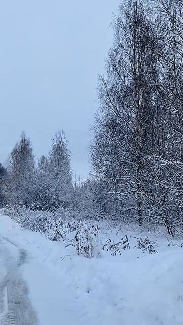 катаемся на квадриках зимой смотреть онлайн