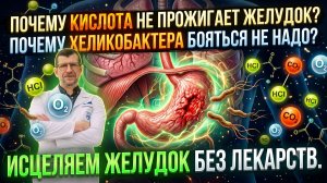 Почему кислота не прожигает желудок? Надо ли бояться хеликобактер? Исцеляем желудок без лекарств