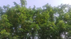 погода  9 июня шепчет будет ☀️ и жарко завтра 10 июня без осадков
