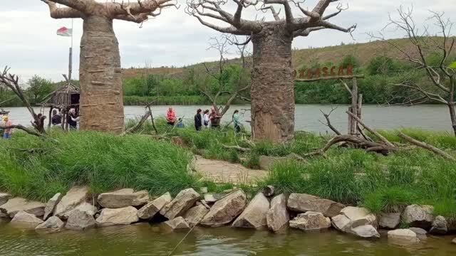 Остров лемуров, ночь с кенгуру и прогулки со страусами