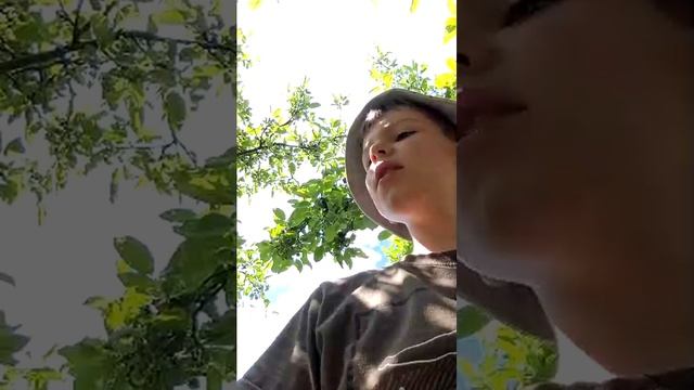 природа+подпищись+общаемся смотреть онлайн