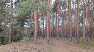 Каждый за себя в работе по найму в организации