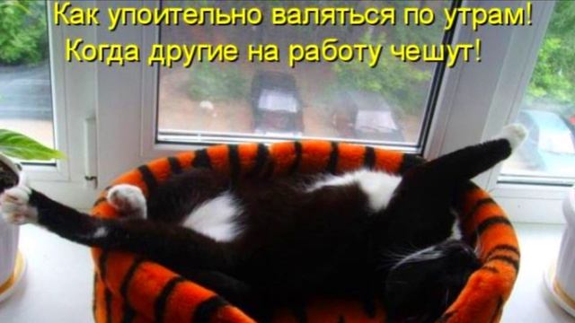КотоМатрицы ! (2) смотреть онлайн