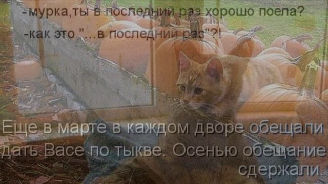 КотоМатрицы ! (1) смотреть онлайн