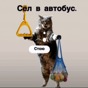 майн
